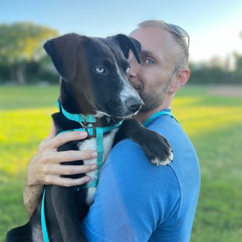 Miracle Dog Rescue - At the park the evening we brought her home. - Pet Adoption Near Me - Bell Gardens, California Miracle Dog Rescue - At the park the evening we brought her home. - Pet Adoption Near Me - Bell Gardens, California