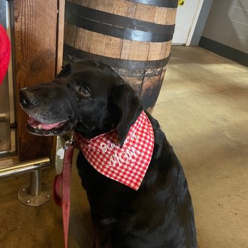 Raleigh Brewing Company - Mr Poppy Seed enjoying the AC - Breweries Near Me - Raleigh, North Carolina Raleigh Brewing Company - Mr Poppy Seed enjoying the AC - Breweries Near Me - Raleigh, North Carolina