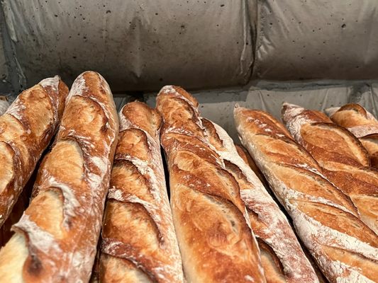 Runner & Stone by null