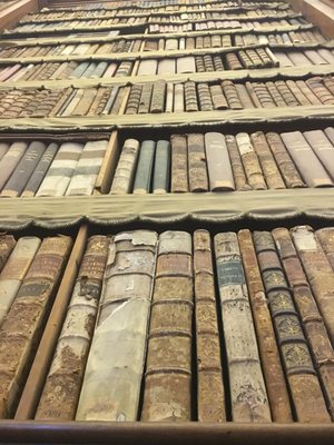 Palatina Library by null