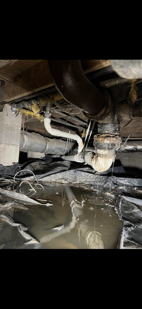 Slide of Wal Company