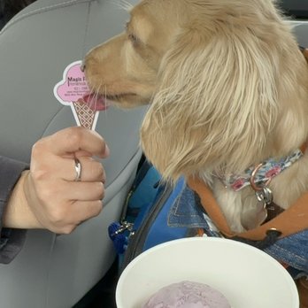 Magic Fountain - Raspberry Icecream @Giada_the_doxie - Ice Cream & Frozen Yogurt Near Me - Mattituck, New York