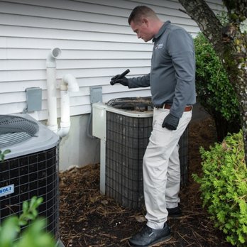 Viking Pest Control - Pest Control Near Me - Egg Harbor Township, New Jersey