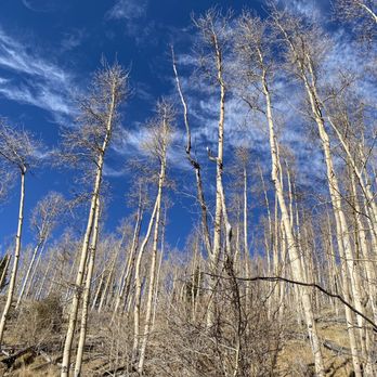 Santa Fe National Forest - Parks Near Me