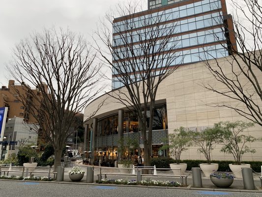 Roppongi Tsutaya Books by null