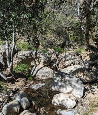 Black Star Canyon Falls Trailhead by null