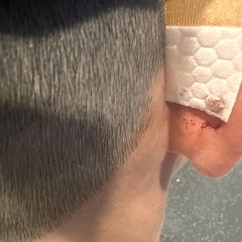 Tooncuts - Made my son bleed!! - Barbers Near Me - Murrieta, California Tooncuts - Made my son bleed!! - Barbers Near Me - Murrieta, California