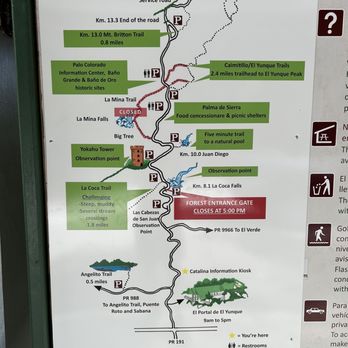 El Yunque Rainforest - Map of El Yunque - Hiking Near Me - Luquillo, Puerto Rico El Yunque Rainforest - Map of El Yunque - Hiking Near Me - Luquillo, Puerto Rico
