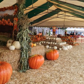 Tina's Pumpkin Patch - Pumpkin Patches Near Me - Sherman Oaks, California Tina's Pumpkin Patch - Pumpkin Patches Near Me - Sherman Oaks, California
