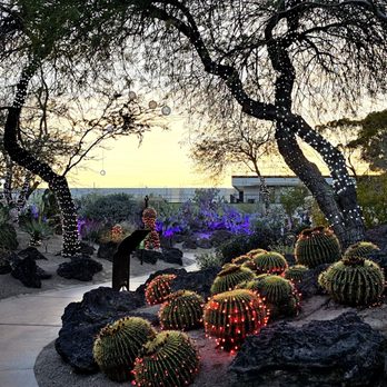 Ethel M Chocolates - pretty cactus garden, lit up at 5pm for special holidays - Botanical Gardens Near Me - Henderson, Nevada Ethel M Chocolates - pretty cactus garden, lit up at 5pm for special holidays - Botanical Gardens Near Me - Henderson, Nevada