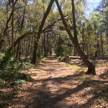 Skidaway Island State Park - Parks Near Me - Savannah, Georgia Skidaway Island State Park - Parks Near Me - Savannah, Georgia