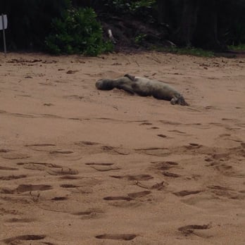 Tunnels Beach - This is the island life!!! Bliss in action:) - Beaches Near Me