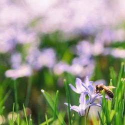 Wildflower Financial - What's in your financial garden?