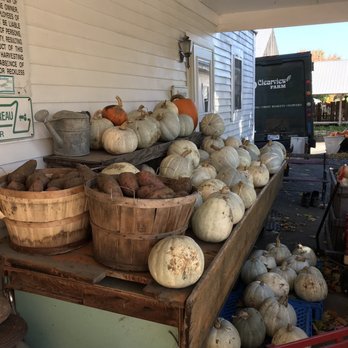 Clearview Farm - White Pumpkins - Bakeries Near Me - Sterling, Massachusetts