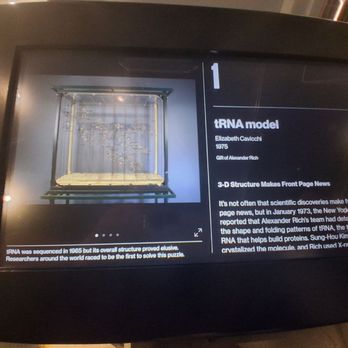 MIT Museum - tRNA Model - Art Museums Near Me - Cambridge, Massachusetts MIT Museum - tRNA Model - Art Museums Near Me - Cambridge, Massachusetts