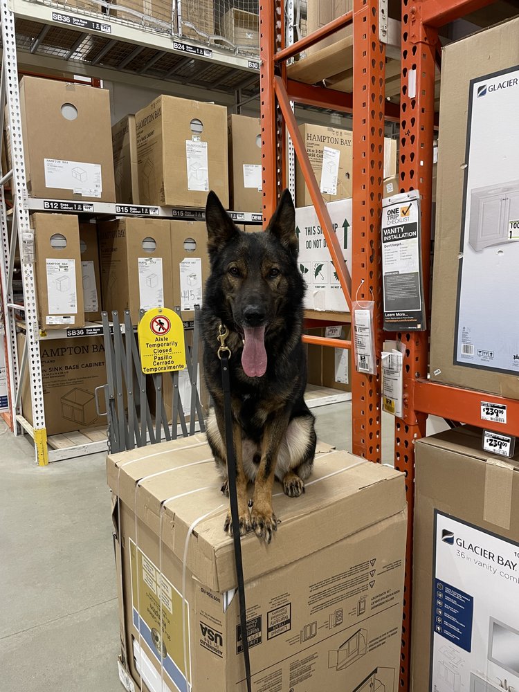 LEGION K9 Request Consultation 17 Photos Des Moines, Iowa Pet