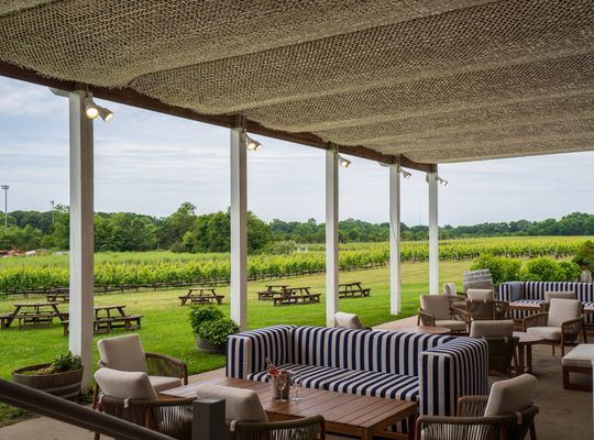 Ev&Em Vineyards by null