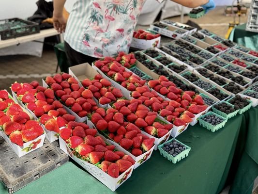 Malibu Farmers Market by null