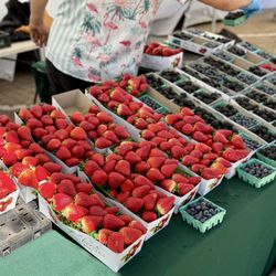 Malibu Farmers Market - Berries!