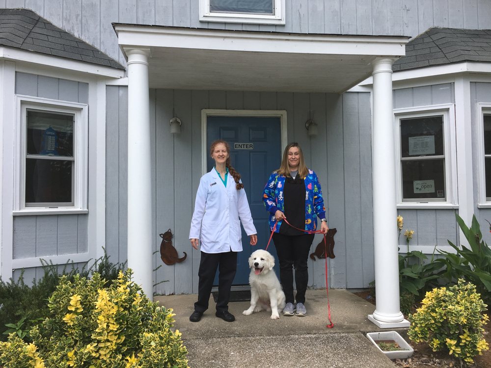 WARREN ANIMAL HOSPITAL Updated April 2024 Request Consultation 18