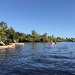 Kayak Eco Tours - Wonderful