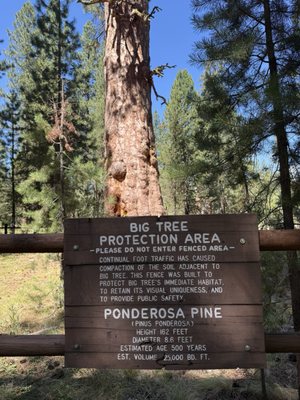 LaPine State Park by null