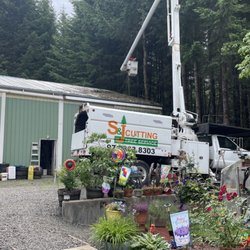 S & J Cutting - Clearing away branches over pole barn.