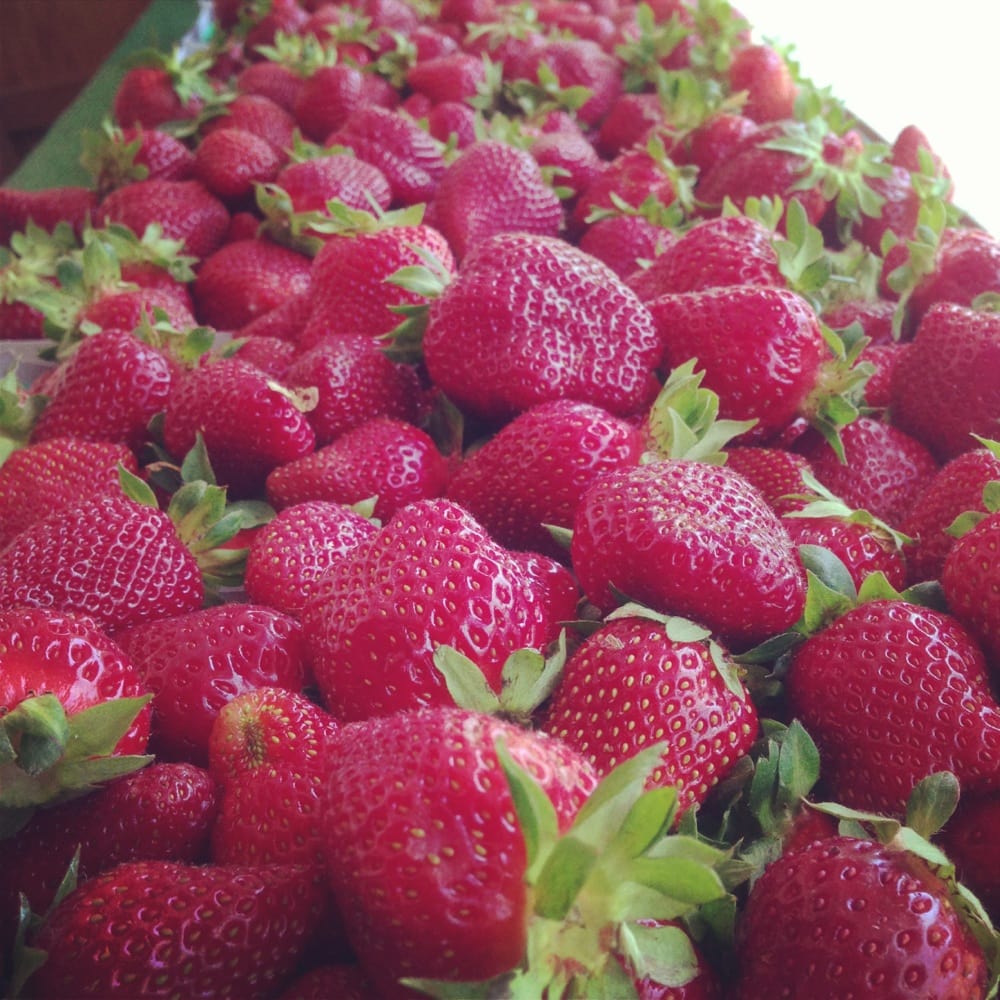 STRAWBERRY STAND Updated July 2024 11 Reviews 151 Fruitvale Rd