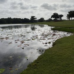Winter Creek Golf & Social Club - Lily pads
