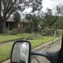 Photo of Johnnys Tree Service