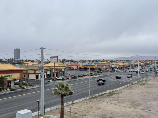 Green Leaf Lotus by null