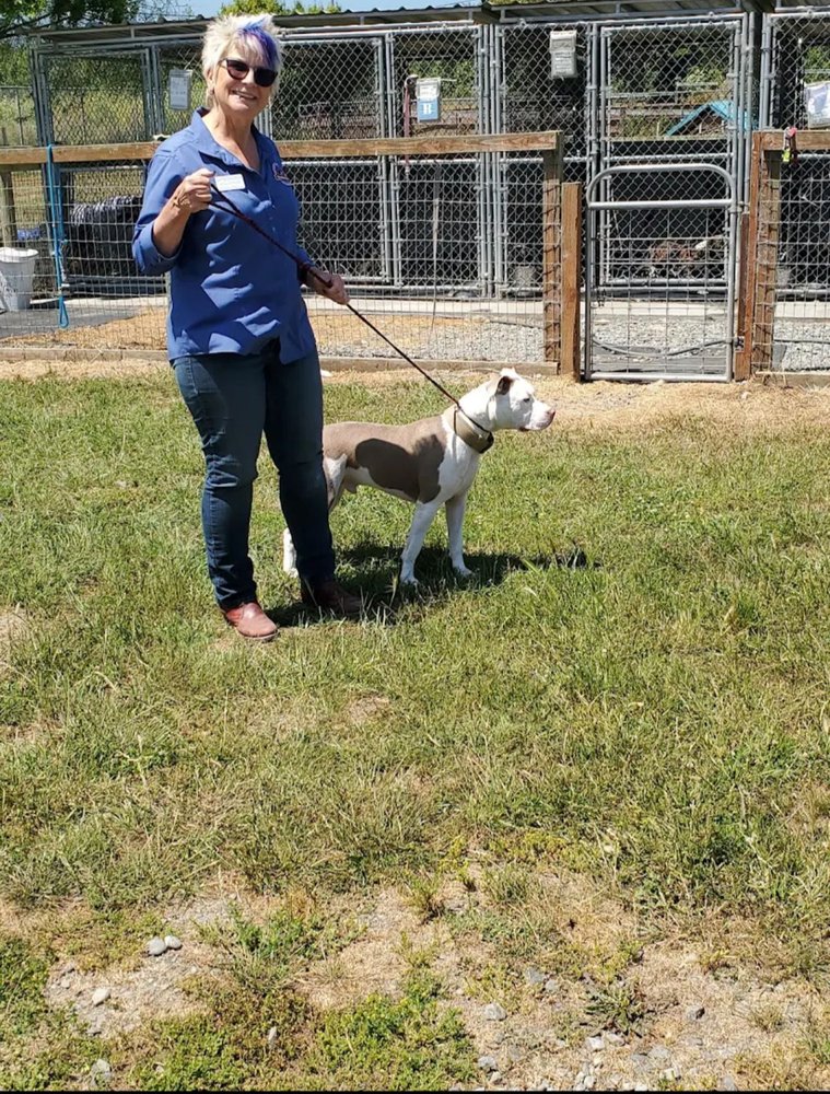 MIRANDAS RESCUE INC