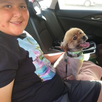 Calling All Paws - My little guy excited as can be with our dapper dog. - Pet Groomers Near Me - Hesperia, California Calling All Paws - My little guy excited as can be with our dapper dog. - Pet Groomers Near Me - Hesperia, California
