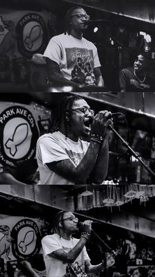 Park Ave CDs by null