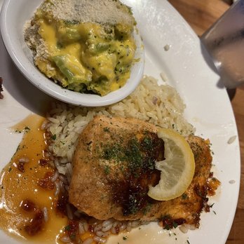 Cheddar's Scratch Kitchen - Bourbon glazed salmon, rice and broccoli cheddar casserole - American Near Me - Jacksonville, Florida