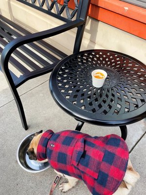 The Spanish Table by null