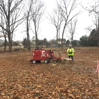 Robles Tree Services - Tree Services Near Me