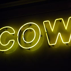 Cow