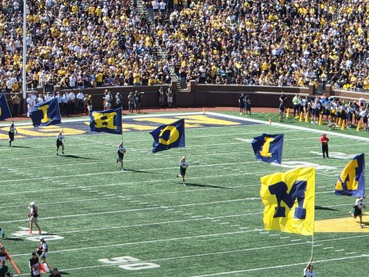 University of Michigan by null