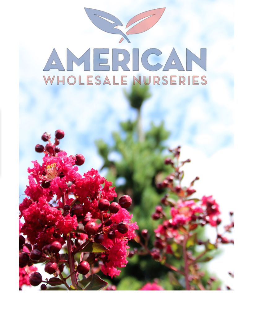 AMERICAN WHOLESALE NURSERIES Updated August 2024 14 Photos 565 N
