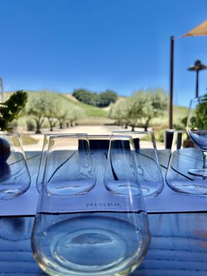 Niner Wine Estates by null