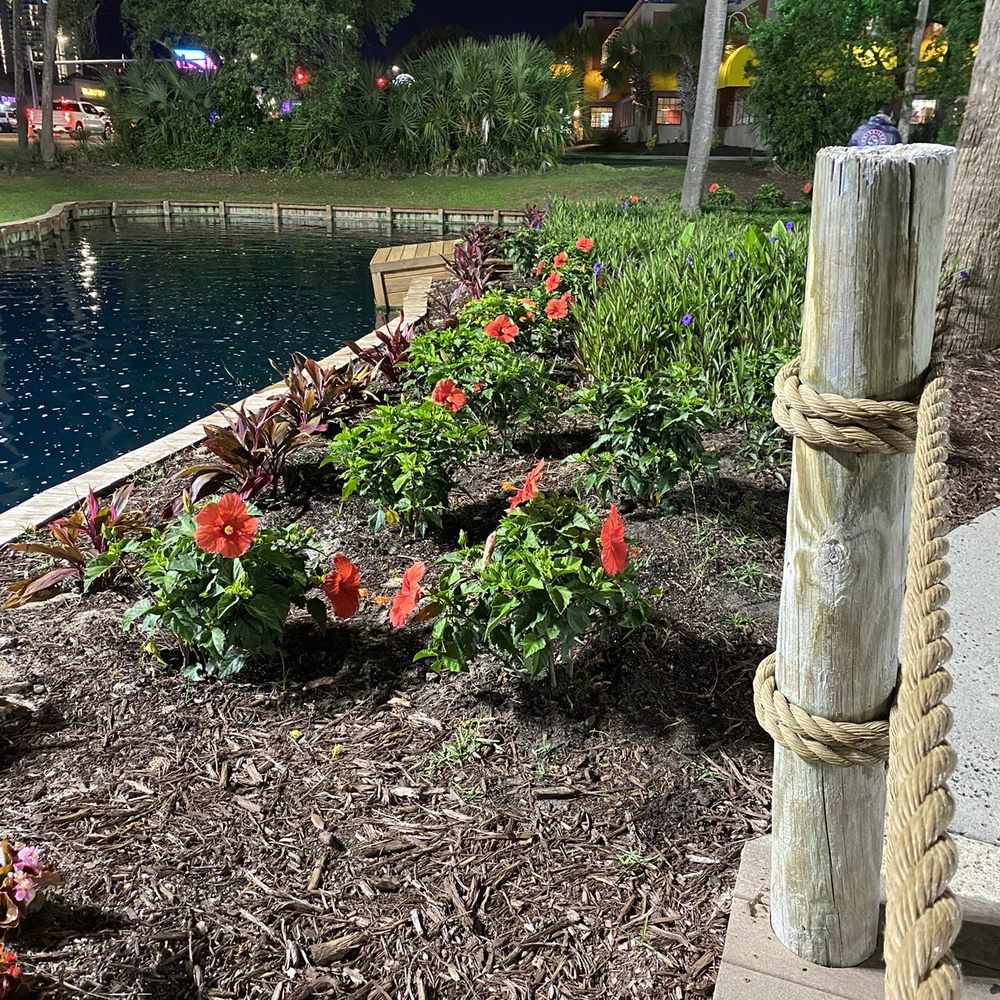 Capt Hook's Adventure Golf - Beautiful landscaping - Mini Golf Near Me - Myrtle Beach, South Carolina Capt Hook's Adventure Golf - Beautiful landscaping - Mini Golf Near Me - Myrtle Beach, South Carolina