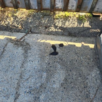 Brooklyn Flea Bargain - Vendor poops then wipes with his bare hands! Animals! - Flea Markets Near Me - New York, New York