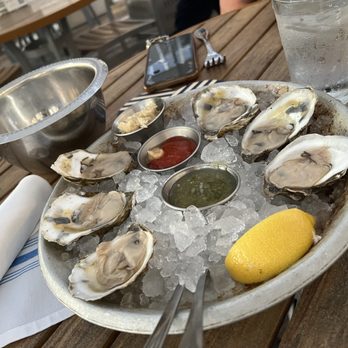 The Boathouse - OYSTERS ON THE HALF SHELL* - Seafood Near Me - Orlando, Florida The Boathouse - OYSTERS ON THE HALF SHELL* - Seafood Near Me - Orlando, Florida