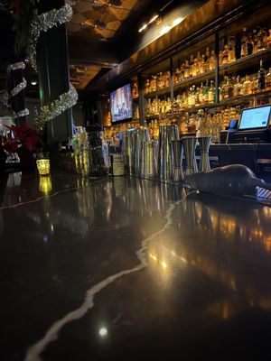 Georgia’s Lounge by null