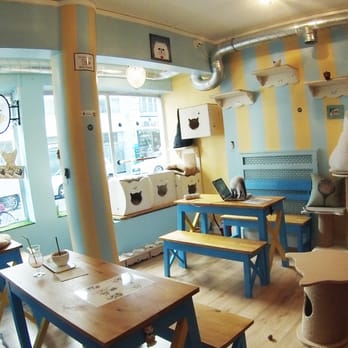 Chat Mallows Café - Themed Cafes Near Me - Paris, 75