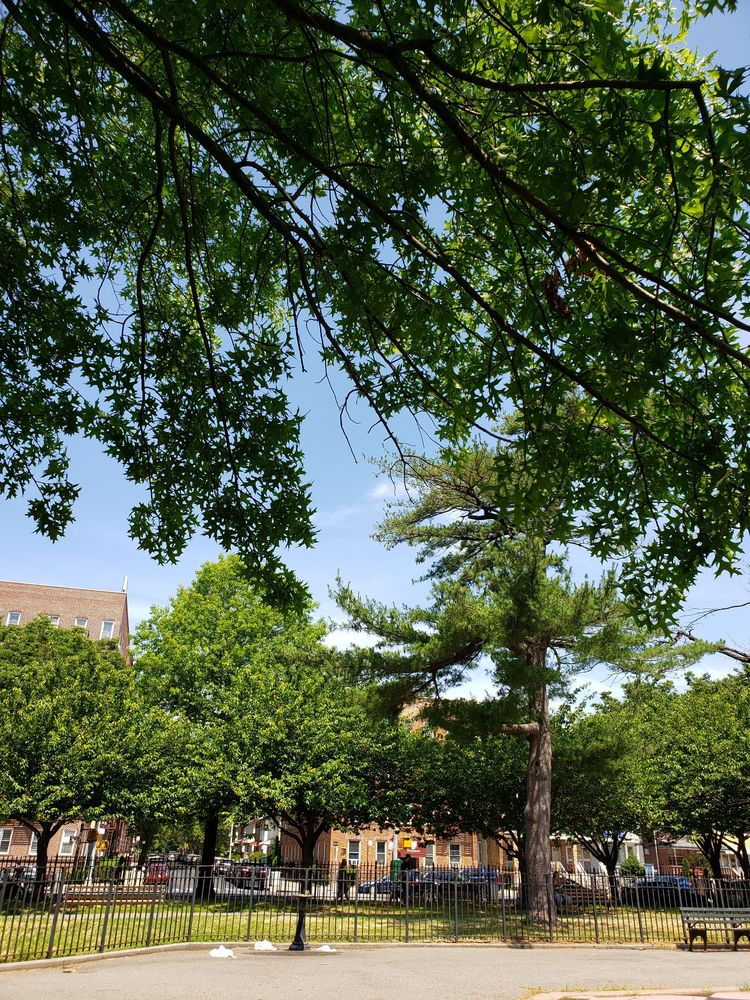 SETH LOW PLAYGROUND Updated June 2024 33 Photos 7217 Bay Pkwy