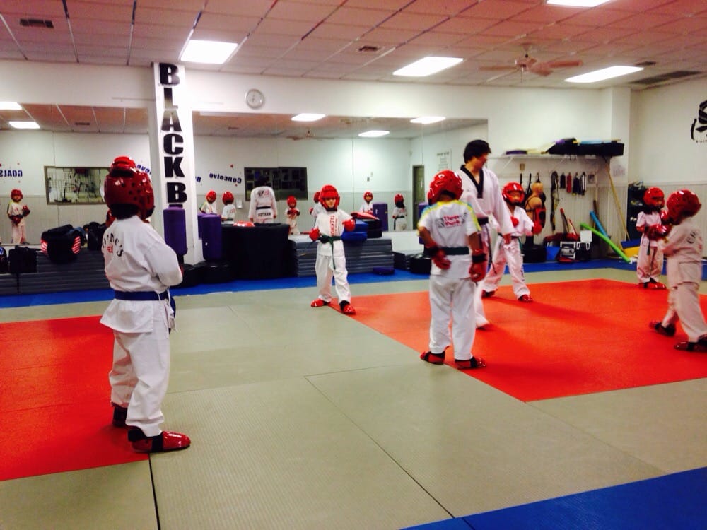Chung's Taekwondo Center & Tiger Park Taekwondo Logo
