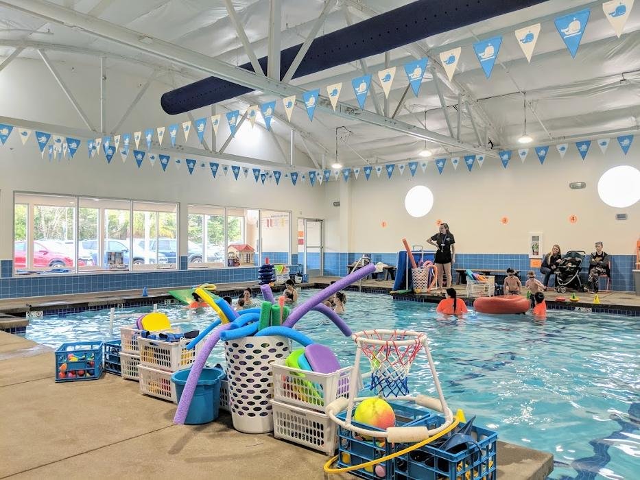 LITTLE WHALE SWIM SCHOOL Updated March 2025 51 Photos & 138 Reviews