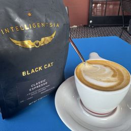 Black cat Black cat